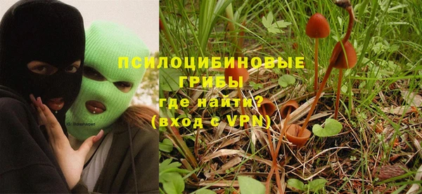a pvp Верея
