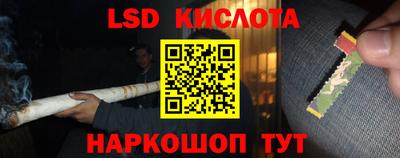 спиды Кимры