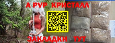 спиды Кимры