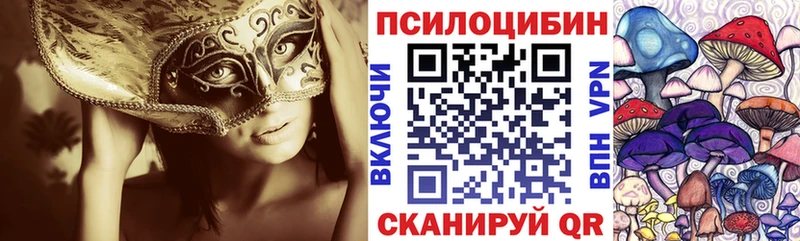 купить наркоту  hydra маркетплейс  Галлюциногенные грибы GOLDEN TEACHER  Медногорск 