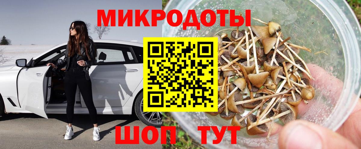 Галлюциногенные грибы прущие грибы Медногорск