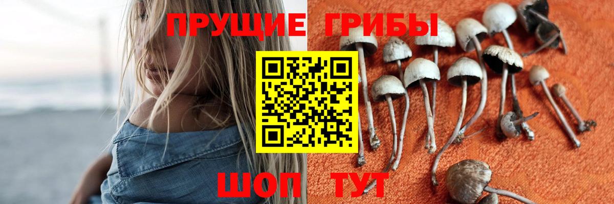 купить  сайты  Вход с VPN  Медногорск  Галлюциногенные грибы мицелий 