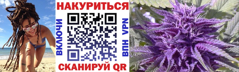 Шишки марихуана сатива  Медногорск 