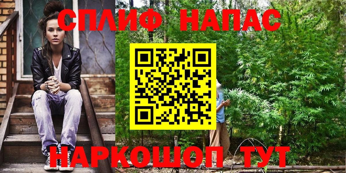 Шишки марихуана сатива Медногорск